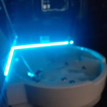 Executive Center Affittacamere